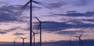 Der Ausbau der erneuerbaren Energien mit dem Bau von Windkraftanlagen löst auch Proteste aus. (Symbolbild)