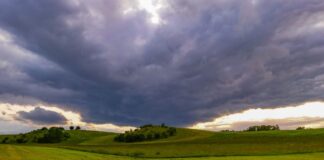 Das Wetter in Berlin und Brandenburg am Dienstag zeigt sich unbeständig: Zeitweise Regen, später örtlich auch Gewitter. (Archivbild)