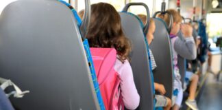 Viele Kinder nehmen im ländlichen Brandenburg mit dem Bus ihren Schulweg auf sich. (Archivbild)