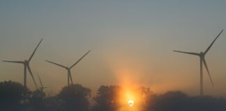 Am frühen Morgen ist es noch kühl in Berlin und Brandenburg. (Archivbild)