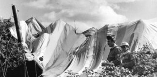 Flucht aus der DDR 1979: Mit einem selbstgebauten Heißluftballon konnten zwei Familien fliehen. (Archivbild)