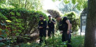 Die Leiche einer mutmaßlich getöteten Frau lag im Berliner Volkspark Humboldthain. 
