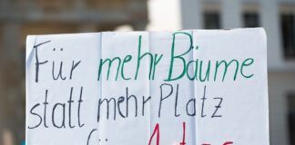 Mehr als 70 Prozent der Berliner wollen mehr Stadtgrün. (Archivbild)