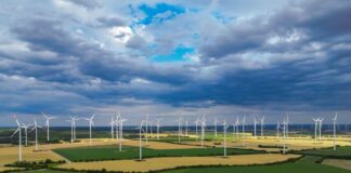 In der Energiewende-Rangliste des WWF liegt Brandenburg vorn.