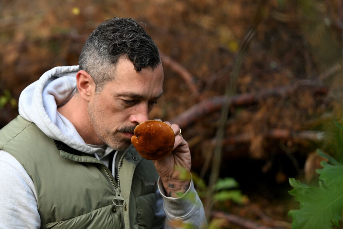 Mit einem Pilz-Influencer in den Pilzen Dem Influencer folgen auf Instagram Tausende.