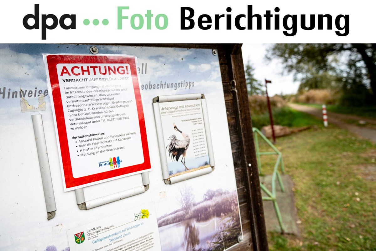 BERICHTIGUNG -Weitere Entwicklung bei der Geflügelpest An der Vogelgrippe sind bereits viele Kraniche an den Linumer Teichen bei Fehrbellin (Kreis Ostprignitz-Ruppin) gestorben.