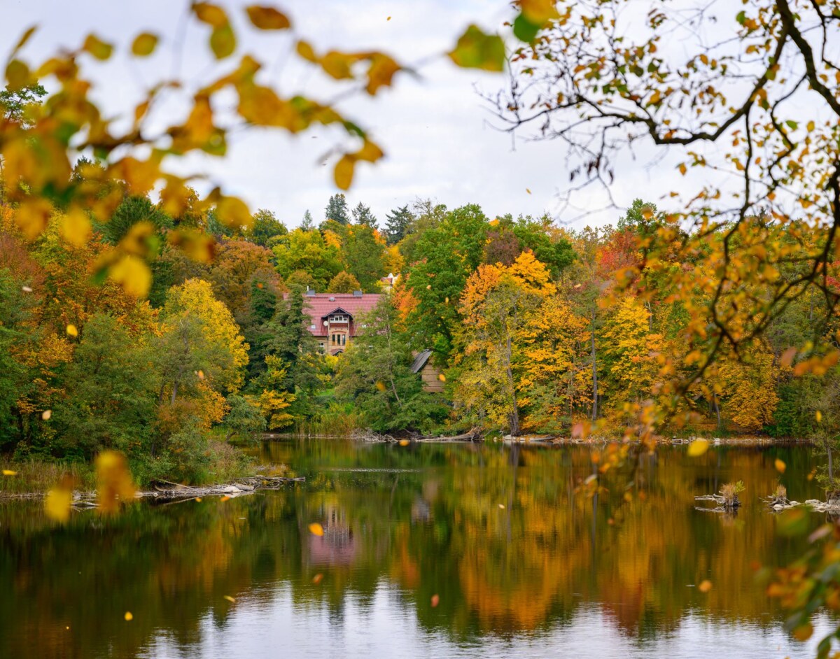 Herbst am Kloster Chorin Am Mittwoch bleibt es in Berlin und Brandenburg weitgehend trocken. (Archivbild)