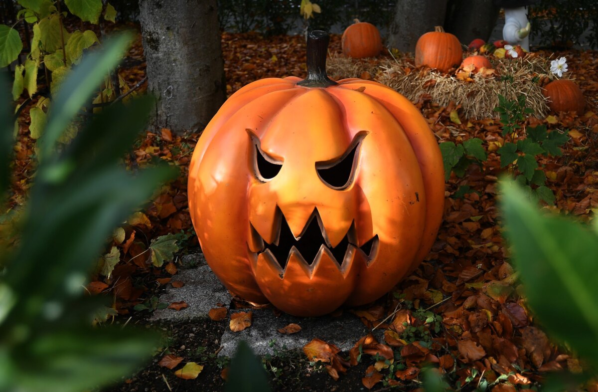 Halloween Der Handelsverband Berlin-Brandenburg schätzt, dass die Umsätze zu Halloween knapp das Vorjahresniveau erreichen. (Symbolbild)