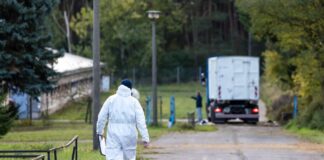 Stallpflicht in mehreren Kreisen wegen Vogelgrippe Wegen der Vogelgrippe wurden bereits Zehntausende Enten und Masthähnchen getötet. (Archivbild)