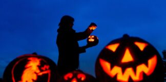 Halloween: Hundeschulen laden zu Gruselspaß und Rätseltouren In Berlin und Brandenburg finden verschiedene Partys statt. (Symbolbild)