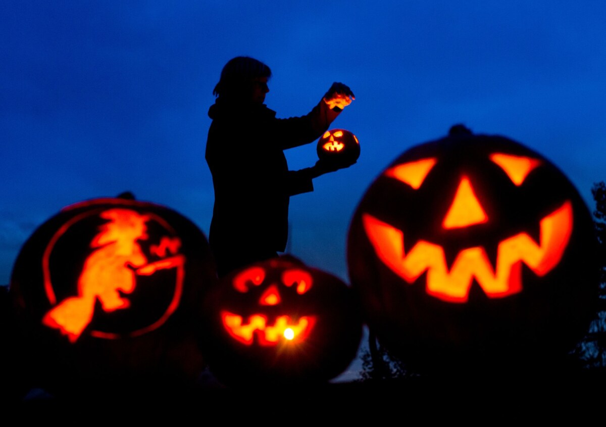 Halloween - Veranstaltungen für Hunde und ihre Besitzer In Berlin und Brandenburg finden verschiedene Partys statt. (Symbolbild)
