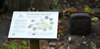 Naturnahes Mustergrab in Berlin.
