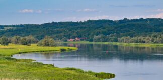Der Nationalpark Unteres Odertal - eine geschützte Flussauenlandschaft im Nordosten von Brandenburg - besteht seit 30 Jahren. (Archivbild) 