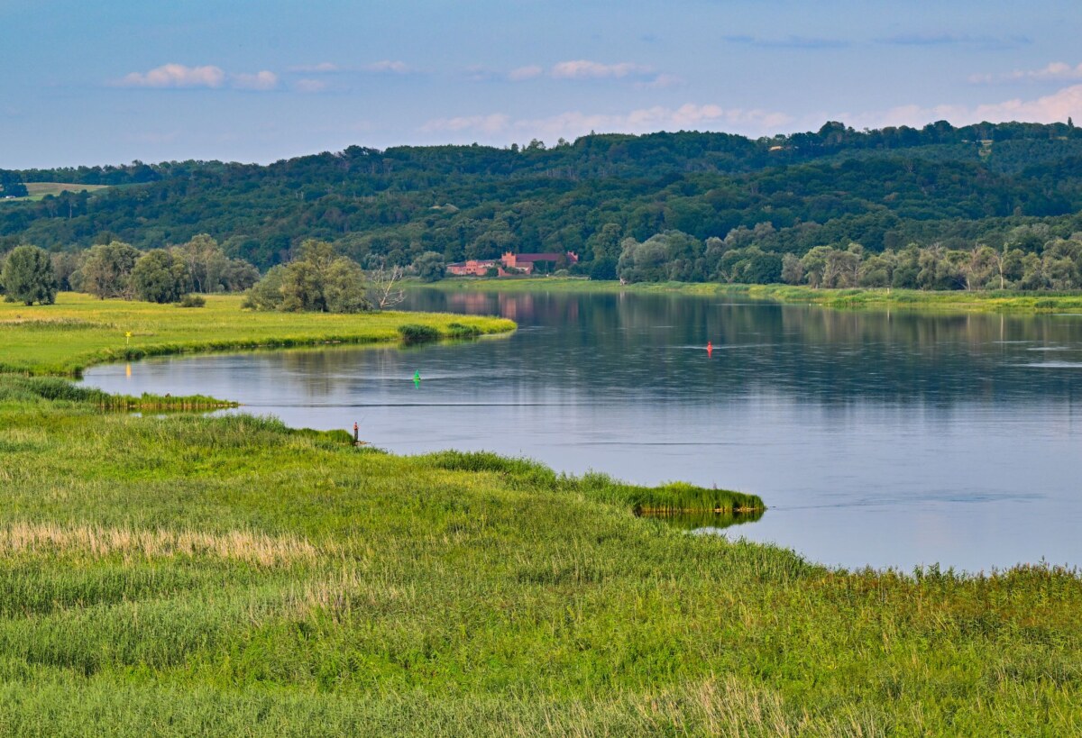 Nationalpark Unteres Odertal Der Nationalpark Unteres Odertal - eine geschützte Flussauenlandschaft im Nordosten von Brandenburg - besteht seit 30 Jahren. (Archivbild)