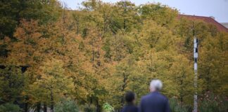Der Berliner Klimaschutzrat warnt vor Kürzungen im Berliner Haushalt. (Symbolbild)
