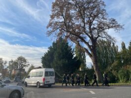 Über Stunden hinweg hatten mehr als 100 Polizeikräfte am Montag in Lindenberg, einem Ortsteil von Tauche, nach Beweismitteln gesucht.