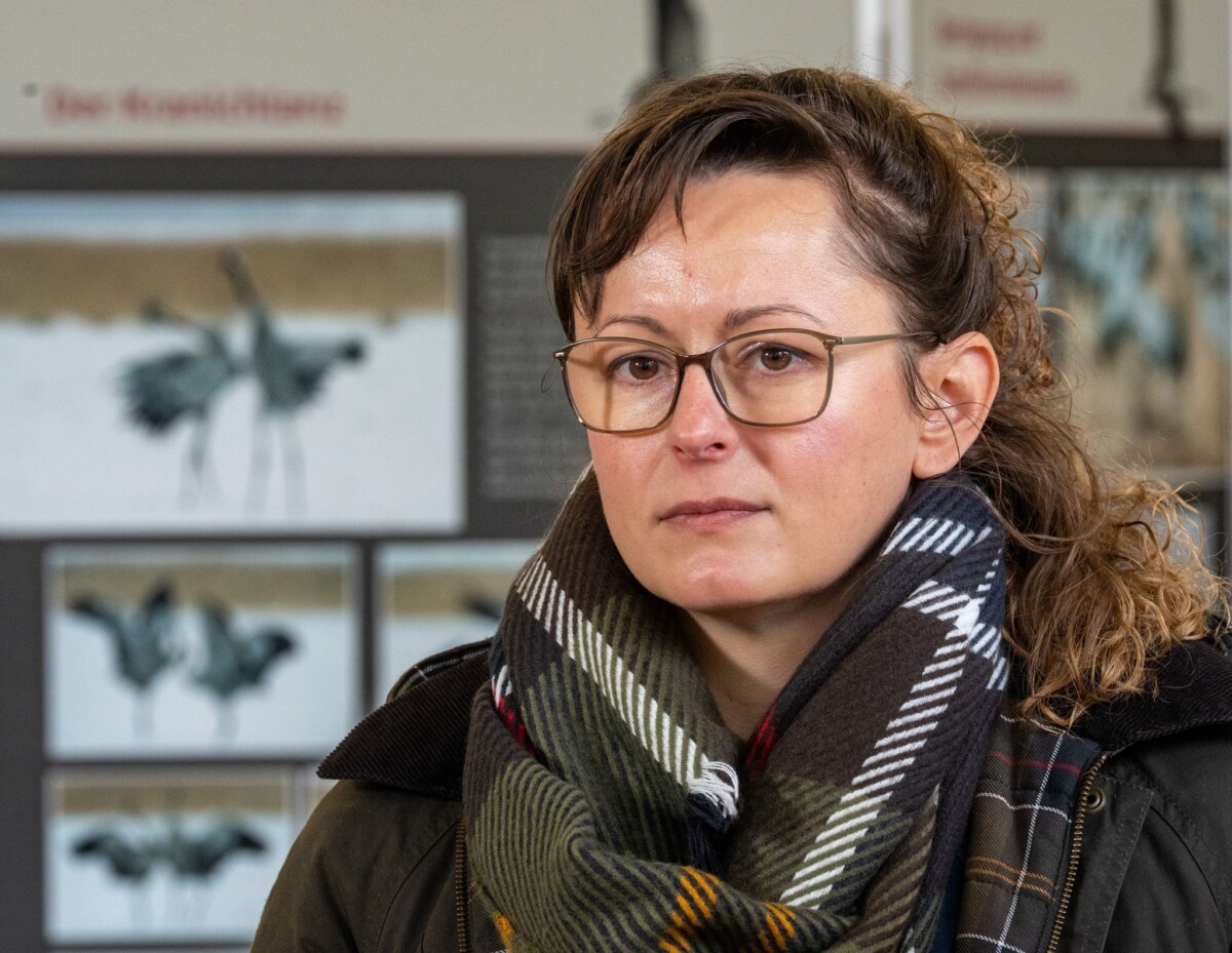 Weitere Entwicklung der Vogelgrippe in Brandenburg Agrarministerin Hanka Mittelstädt (SPD) lobt den Zusammenhalt der Helfer im Linumer Teichland bei der Bergung toter Kraniche.