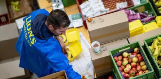 Auch Bananen und Äpfel kommen dieses Jahr mit in die Brotbox. 