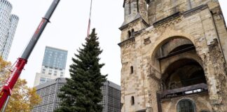 Die Landung der Fichte aus dem Berliner Südosten verlief diesmal reibungslos.