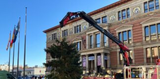 Pannen mit Weihnachtsbäumen sind in Berlin keine Seltenheit. 