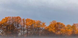 Nebel und Wolken hängen über Berlin und Brandenburg. (Symbolbild)