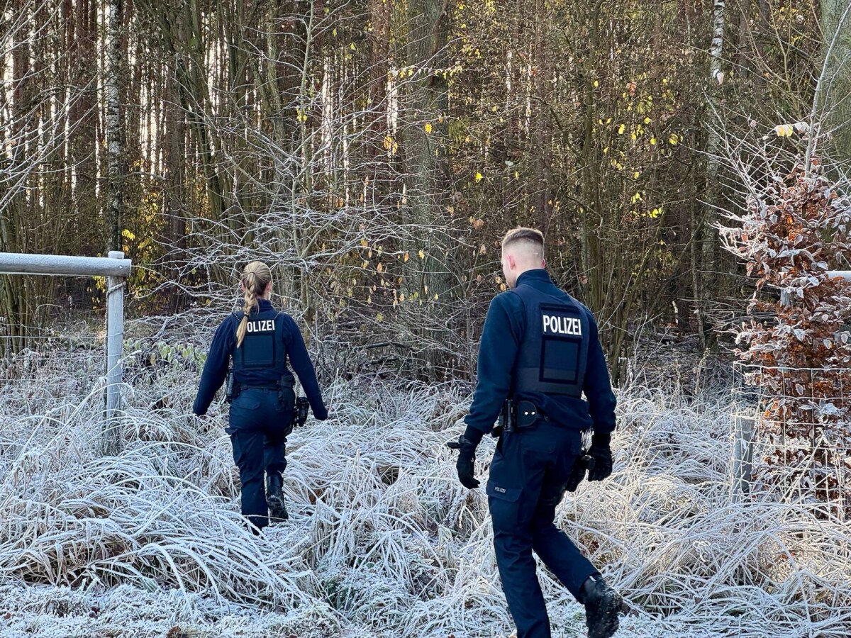Vermeintliche Känguru-Sichtung löst Einsatz in Falkensee aus Polizisten suchen bei einem Einsatz in einem Wald nach einem vermeintlichen Känguru.