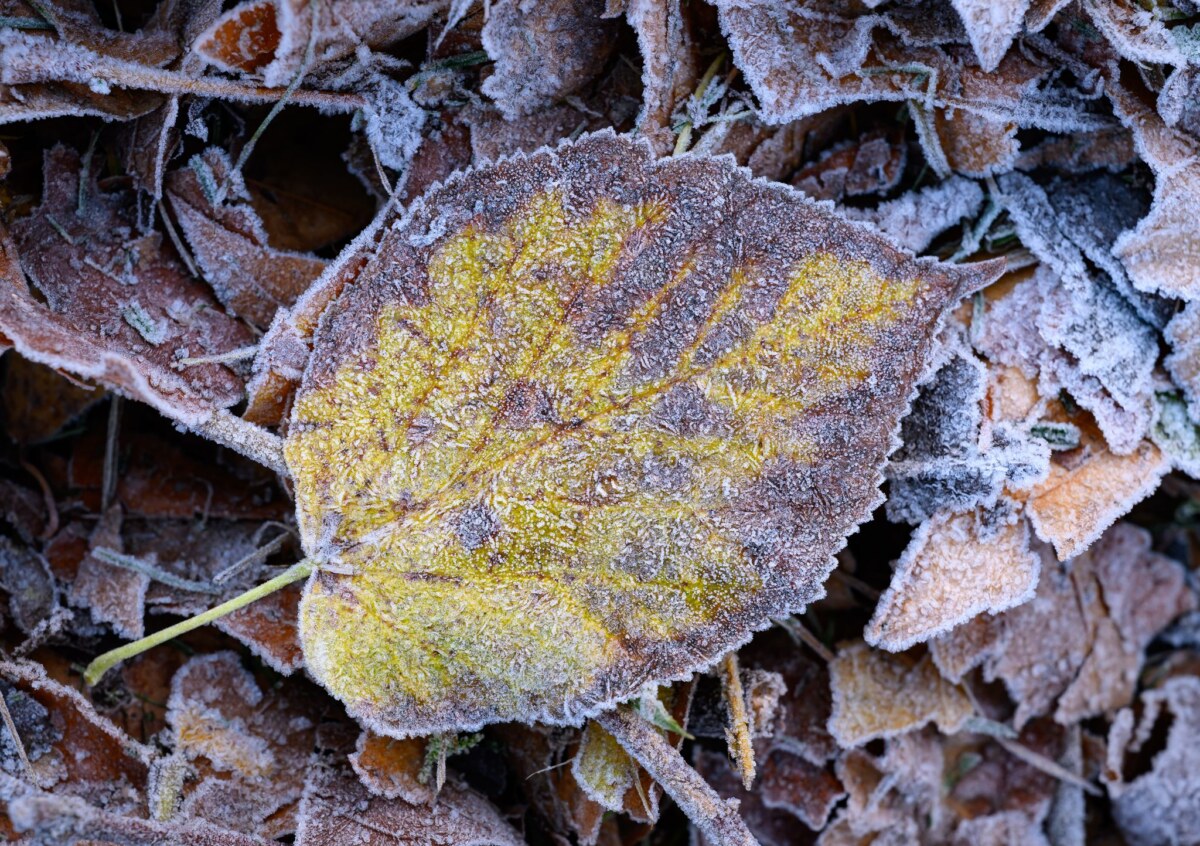 Winterliches Wetter in Brandenburg Zum Wochenende hin werden die Temperaturen winterlich.