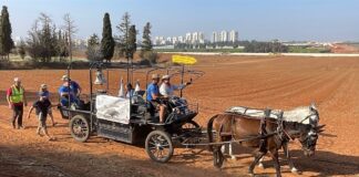 Friedenstreck erreicht Ziel mit Kutsche – aber ohne Pferde Der Friedenstreck war im Mai in Potsdam gestartet und ist nun in Jerusalem angekommen.