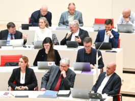 Vier Abgeordnete aus der BSW-Fraktion im Brandenburger Landtag waren aus der Partei ausgetreten - einer hat das wieder rückgängig gemacht (Archivbild). 