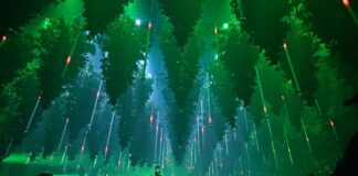 Neue Ausstellung: Unter Lichtkunst Schlittschuh fahren Auf 1.000 Quadratmetern gibt es über 600 schwebende Bäume und 250.000 Lichter.