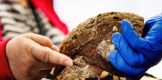 Die Tafeln in Brandenburg erleben einen stärkeren Zulauf. (Archivbild)