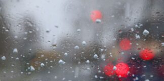 Wolken, leichter Regen und milde Temperaturen bestimmen den Start in das Wochenende in Berlin und Brandenburg. (Archivbild)