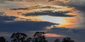 Wochenende startet sonnig und mit bis zu 18 Grad Auch am Samstag zeigt sich zunächst die Sonne über Berlin und Brandenburg. (Symbolbild)