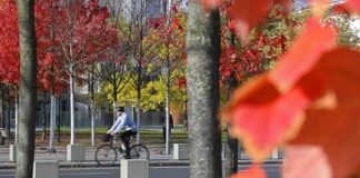 Bei milden Temperaturen und einigen Wolken bleibt es in den kommenden Tagen trocken. (Symbolbild)