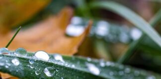 Neue Woche bringt kühlere Temperaturen und Schneeregen Nächste Woche heißt es: wärmer anziehen.