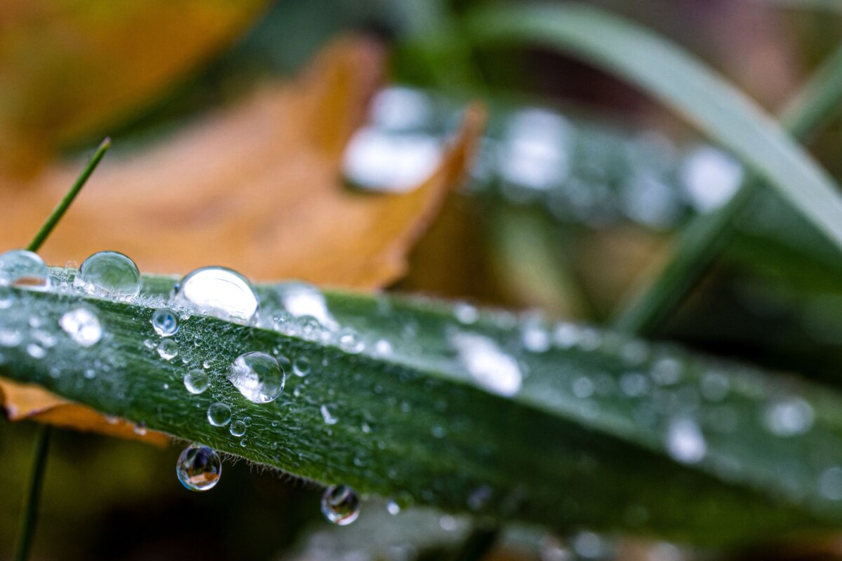 Wetter in Brandenburg Nächste Woche heißt es: wärmer anziehen.