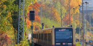 Die S42 ist am Dienstagmorgen von einer Störung betroffen. (Symbolbild)