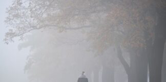 Der Dienstag startet mit Nebel in Berlin und Brandenburg. (Symbolbild)