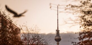 Ein grauer, milder Herbstsonntag in Berlin und Brandenburg – die neue Woche startet ruhig und meist trocken. (Archivbild)