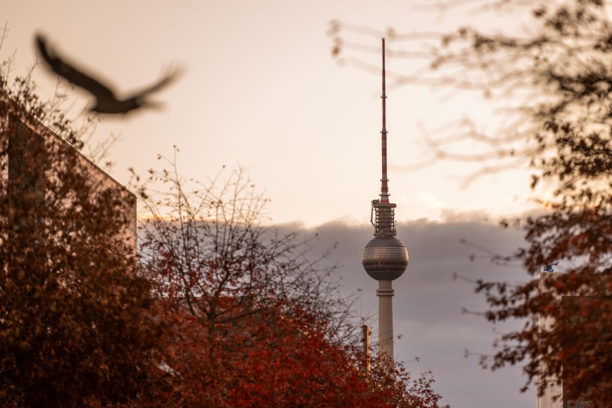 Herbst in Berlin Ein grauer, milder Herbstsonntag in Berlin und Brandenburg – die neue Woche startet ruhig und meist trocken. (Archivbild)