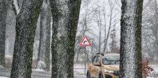 Eis und Schnee in Berlin und Brandenburg Temperaturen um den Gefrierpunkt in Berlin und Brandenburg. (Symbolbild)