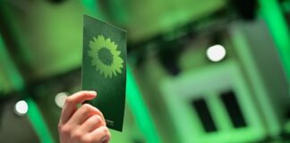 Juliana Meyer ist neue Vorsitzende der Grünen in Brandenburg Die Nachfolgerin für den Landesvorsitz steht fest. (Symbolbild)