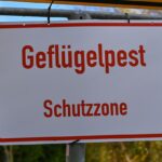 Weiterer Ausbruch von Vogelgrippe in Brandenburg Ein Schutzzonen-Schild weist auf Maßnahmen gegen die Geflügelpest hin. In Brandenburg wurde erneut ein Ausbruch bestätigt. (Symbolbild)