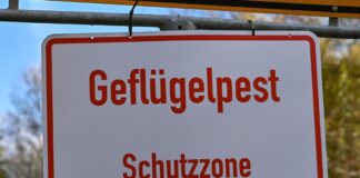 Weiterer Ausbruch von Vogelgrippe in Brandenburg Ein Schutzzonen-Schild weist auf Maßnahmen gegen die Geflügelpest hin. In Brandenburg wurde erneut ein Ausbruch bestätigt. (Symbolbild)