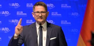 AfD-Landeschef peilt absolute Mehrheit in Brandenburg an Brandenburgs AfD-Landesvorsitzender René Springer nennt eine Regierungsübernahme als Ziel seiner Partei.
