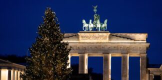 Weihnachtsbaum am Brandenburger Tor angeknipst Der Baum kommt aus Thüringen.