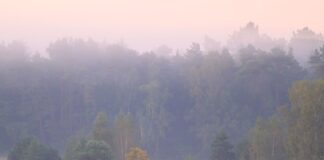 Auf Nebel folgt heiteres Wetter in Berlin und Brandenburg Die Nebelfelder lösen sich am Vormittag rasch auf. (Archivbild)