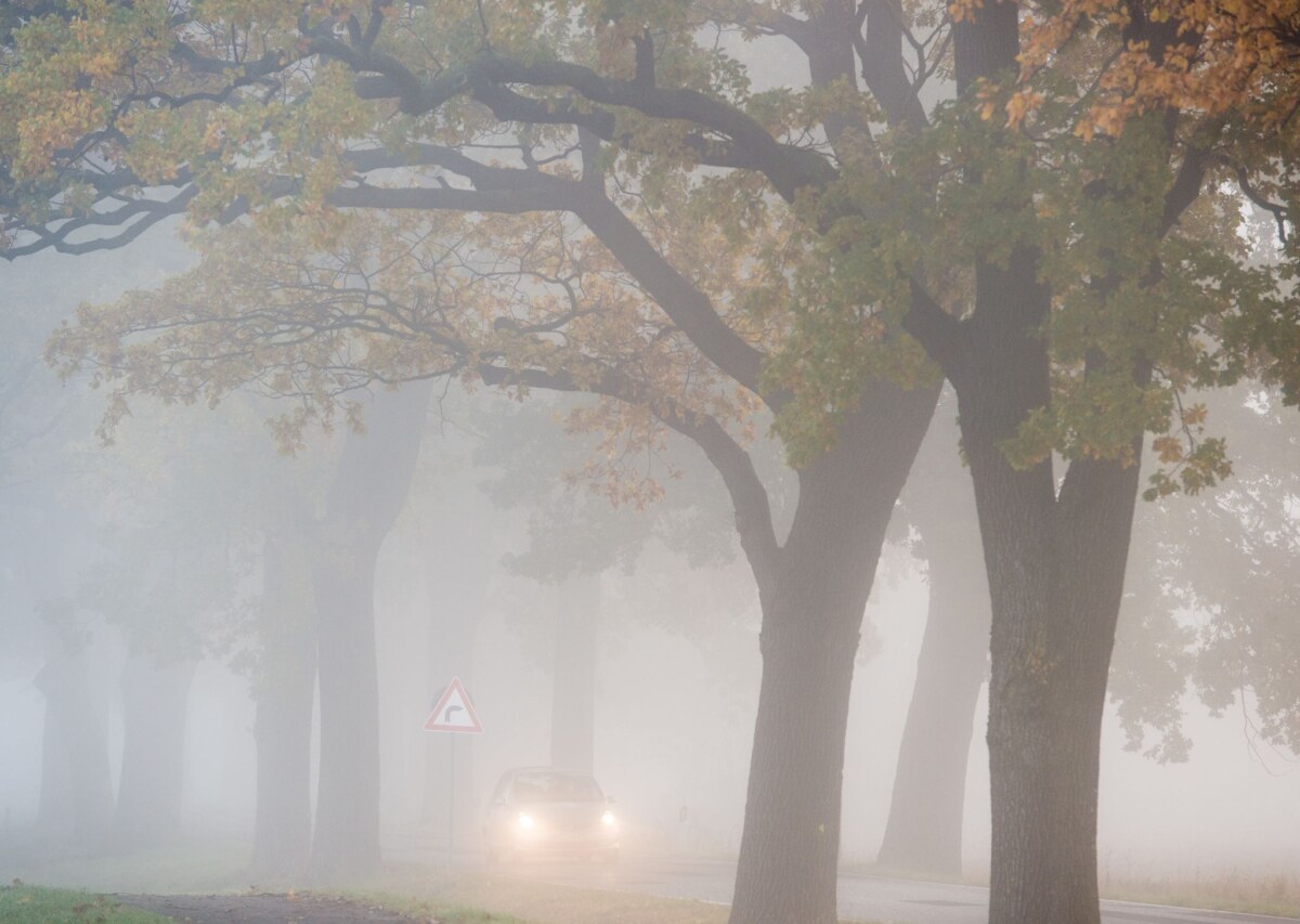 Auto fährt bei Nebel auf einer Landstraße Das Wochenende in Berlin und Brandenburg ist nebelig. Laut Deutschem Wetterdienst kann es am Samstag zu Sichtweiten unter 150 Metern kommen. (Archivbild)