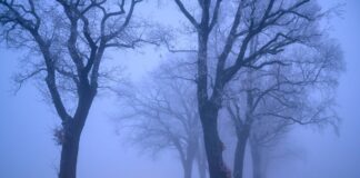 Trüber Tag in Berlin und Brandenburg – morgens Glätte Autofahrer sollten auf den Straßen wegen Glätte besonders vorsichtig fahren. (Symbolbild)