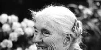 Unbekannte Liebesbriefe von Anna Seghers veröffentlicht Eine große Literatin: Anna Seghers. (Archivbild)